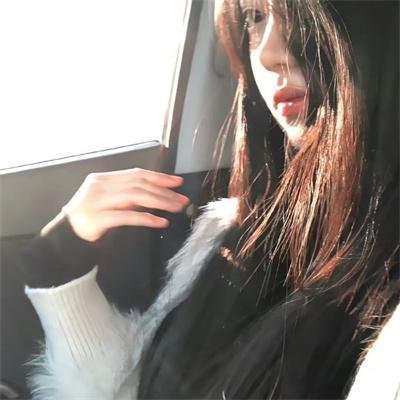 海蒂